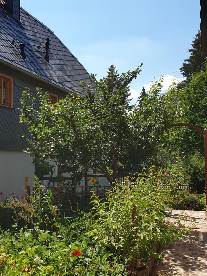 Oekologische Ferienwohnung Becker Kottmar Exterior foto